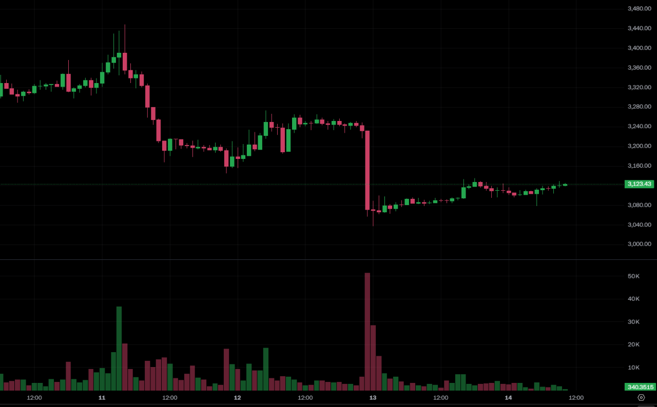 BitMine が商品の掃討にさらに 1 億 2,000 万ドルを費やす38,000 ETH は 3,100 ドルで安定を維持